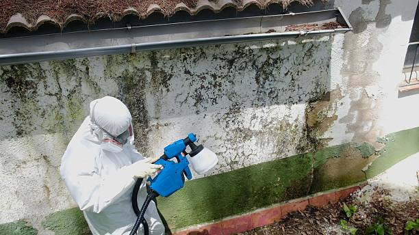 Trusted Crawl Space Mold Removal service in Glen Burnie, MD - Cheap Mold Removal